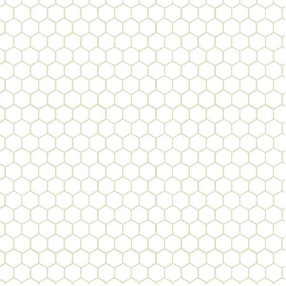 Ivory Tulle 11 (Transparent) - WILTON PATISSERIE