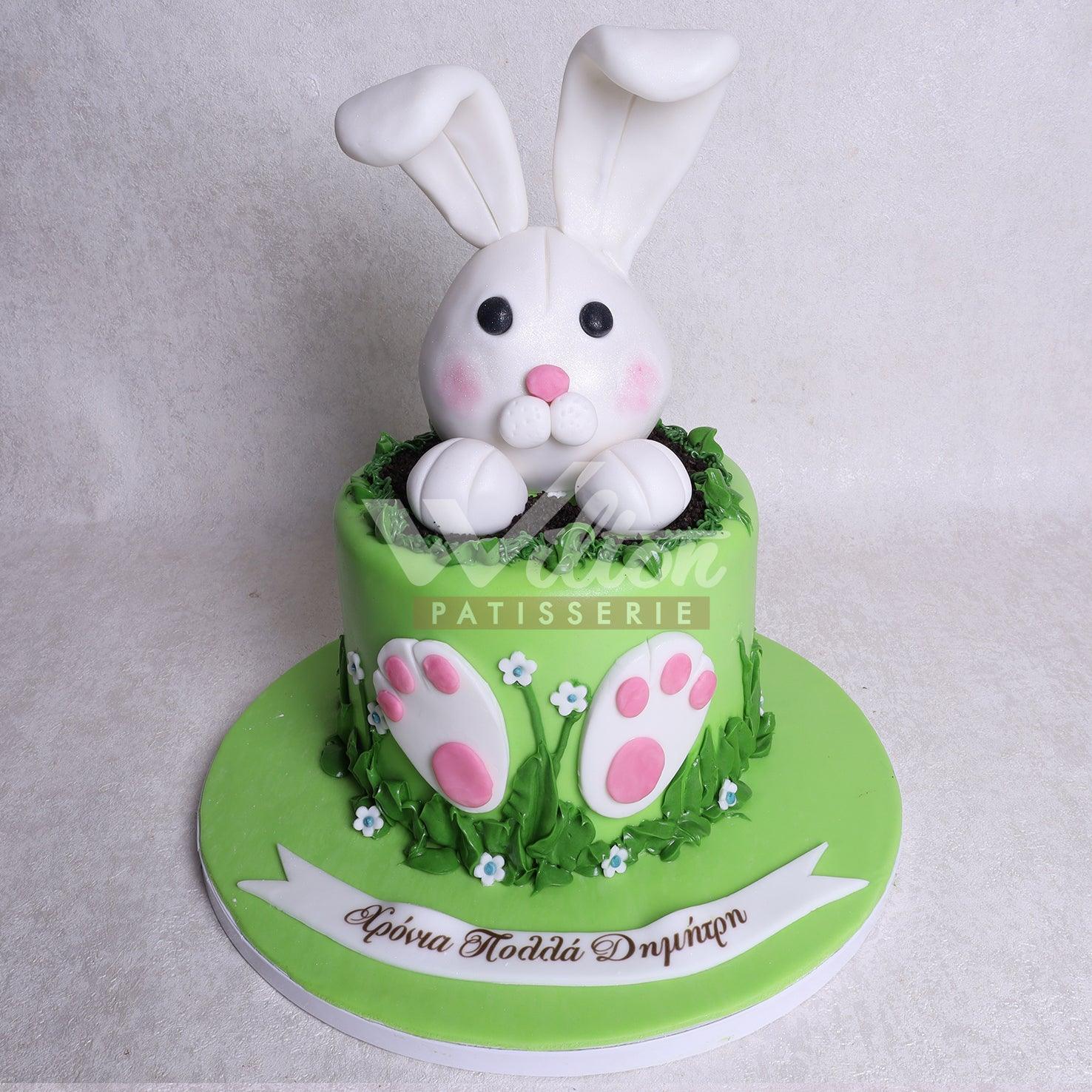 D.48.a RABBIT - Children Birthday Cakes - WILTON PATISSERIE