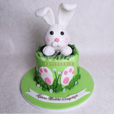 D.48.a RABBIT - Children Birthday Cakes - WILTON PATISSERIE