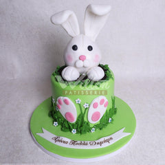 D.48.a RABBIT - Children Birthday Cakes - WILTON PATISSERIE