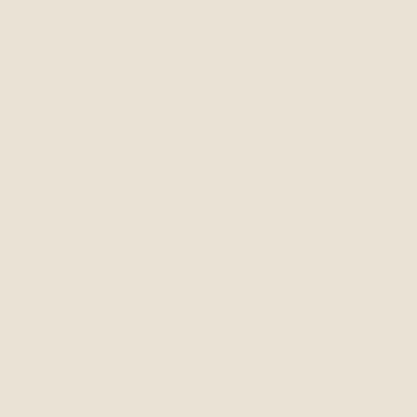 Ivory 58 (Perlata Mat B) - WILTON PATISSERIE