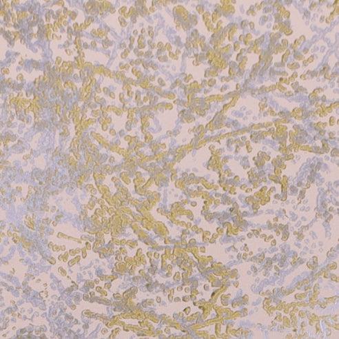 Somon Mat - WILTON PATISSERIE