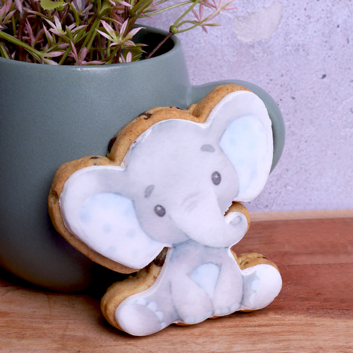 Customised Elephant Biscuits - WILTON PATISSERIE