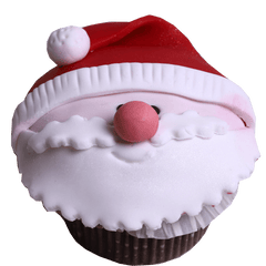 Santa Claus - WILTON PATISSERIE
