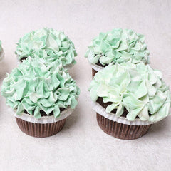 Muffins with Buttercream - WILTON PATISSERIE