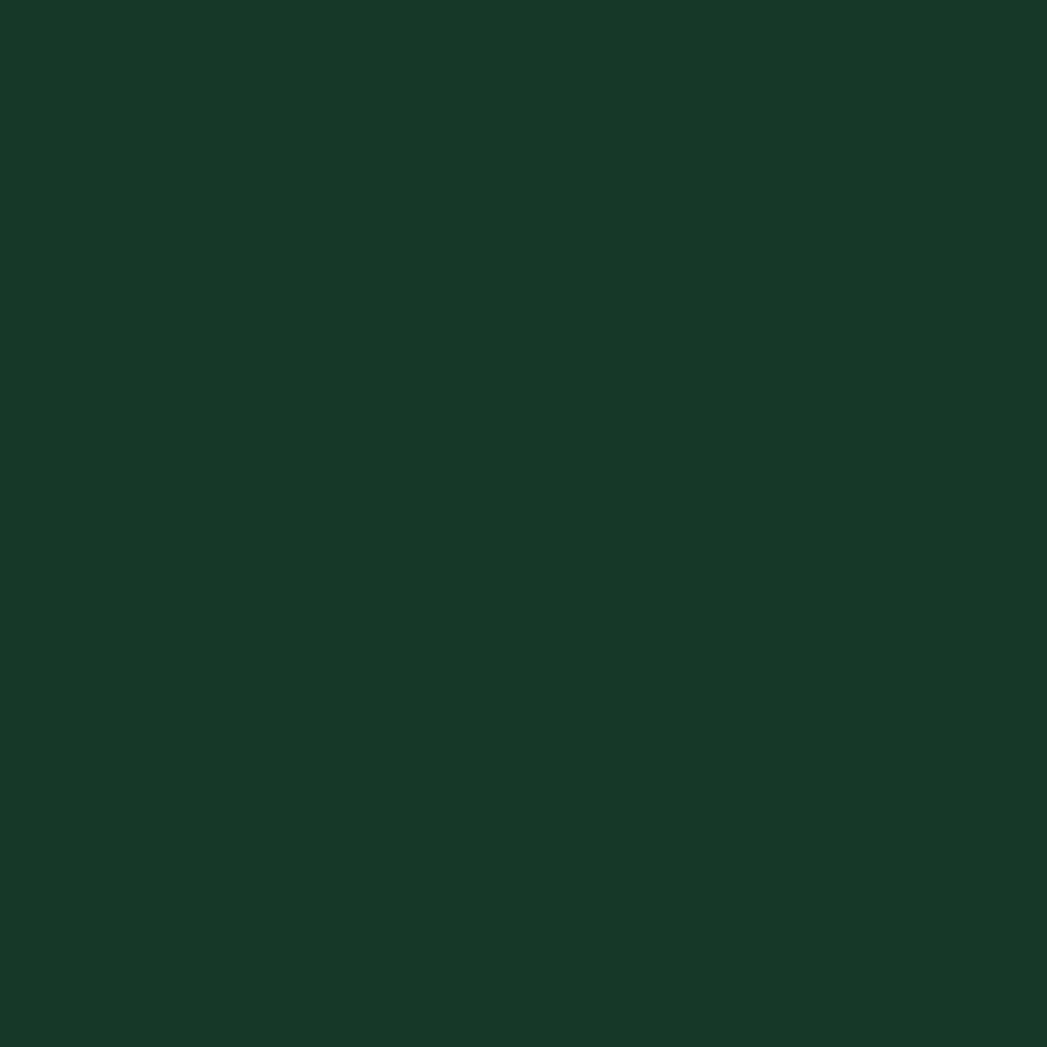 Occasional Treats Color 15 - WILTON PATISSERIE