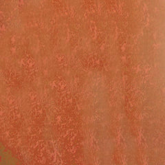 Occasional Treats Color - WILTON PATISSERIE