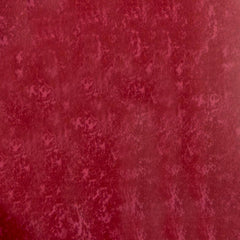 Occasional Treats Color - WILTON PATISSERIE