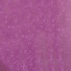 Occasional Treats Color - WILTON PATISSERIE