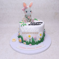 D.48.b RABBIT - Children Birthday Cakes - WILTON PATISSERIE
