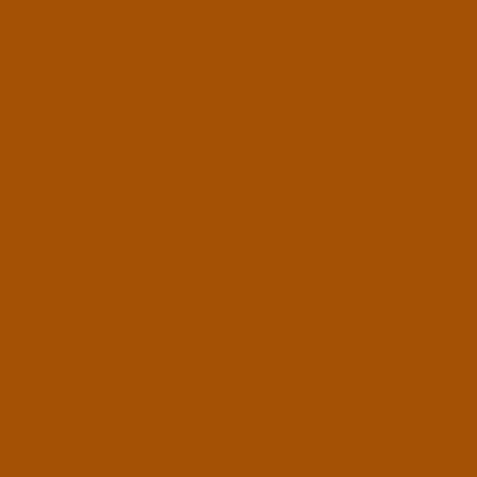 Occasional Treats Color - WILTON PATISSERIE