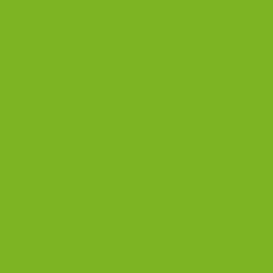 Occasional Treats Color 15 - WILTON PATISSERIE